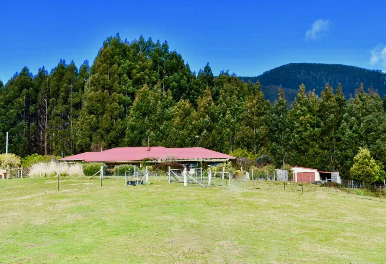 Maydena Mountain Cabins Экстерьер фото